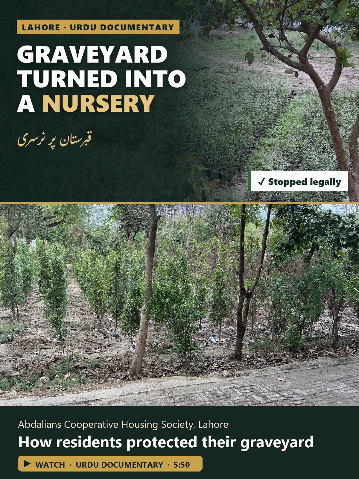 Poster: 'Graveyard turned into a nursery, stopped legally' over photographs of nursery rows in the graveyard of Abdalians Cooperative Housing Society, Lahore, with the Urdu title قبرستان پر نرسری.